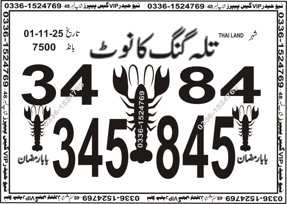 New Haider Vip guess papers