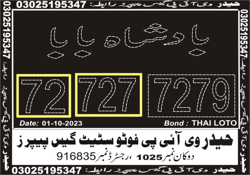 Haider VIP guess papers