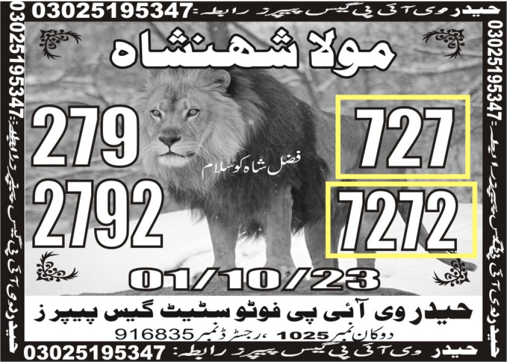 Haider VIP guess papers