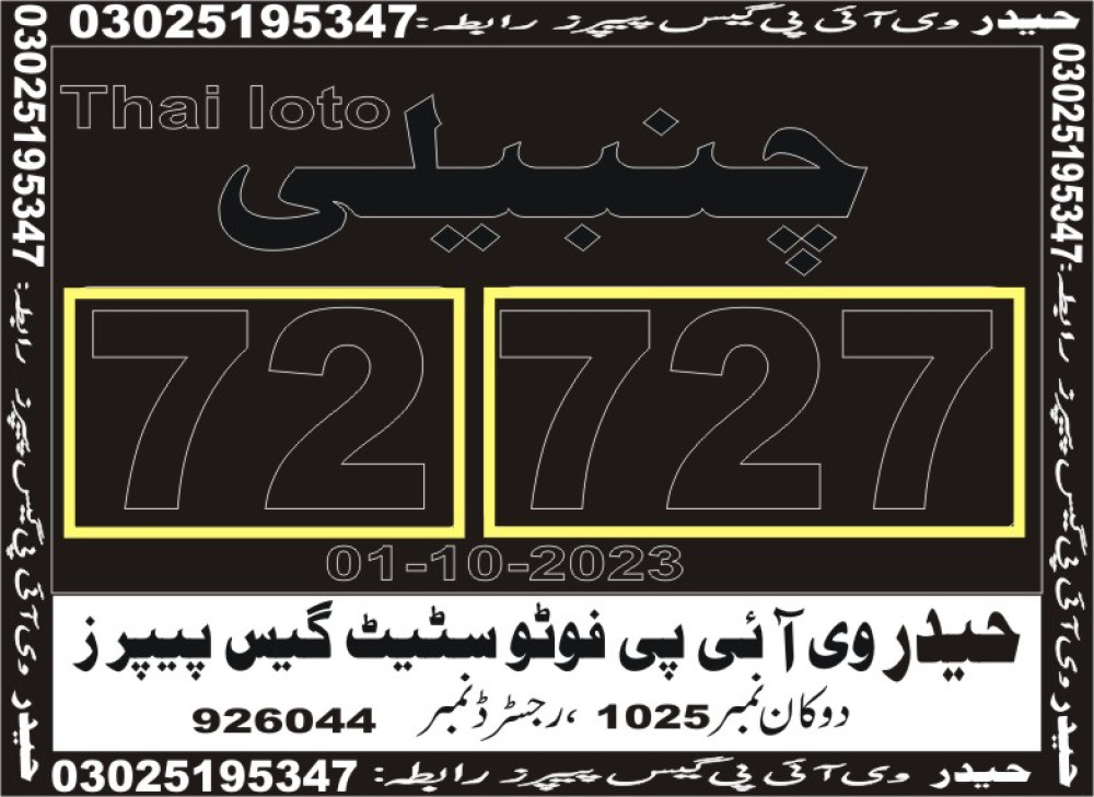 Haider VIP guess papers