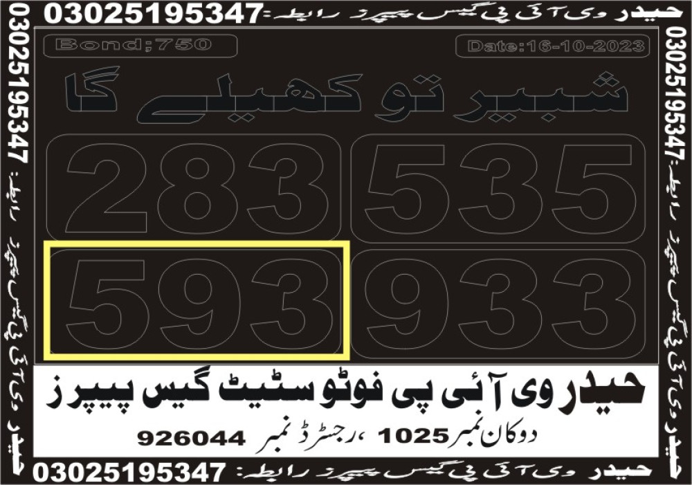 Haider VIP guess papers
