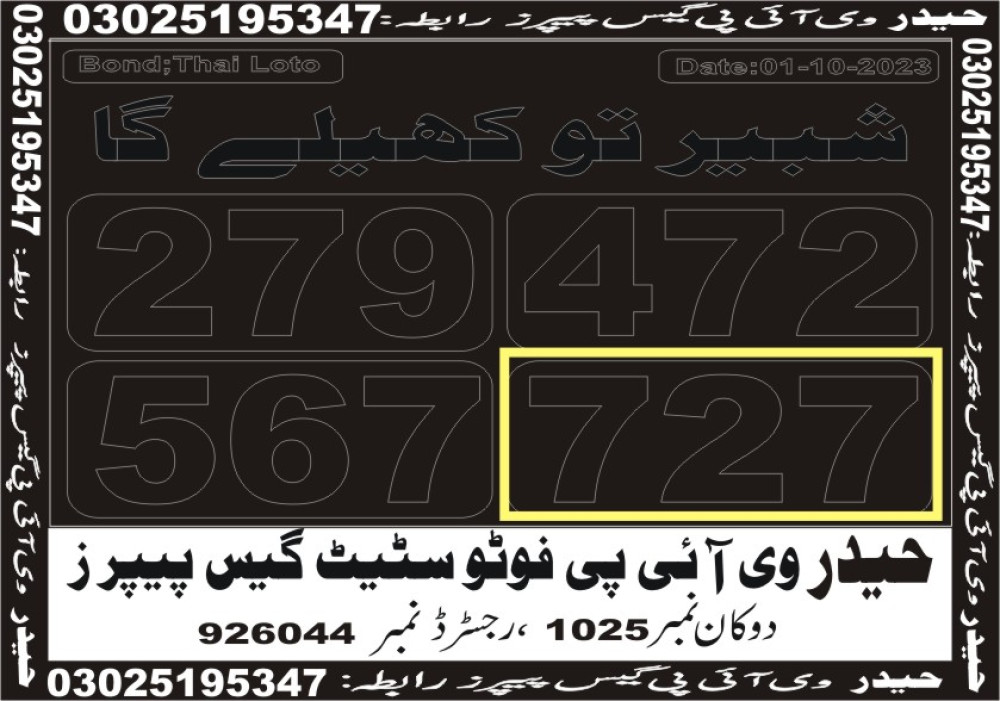 Haider VIP guess papers