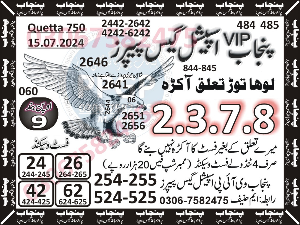 punjab vip special guess papers