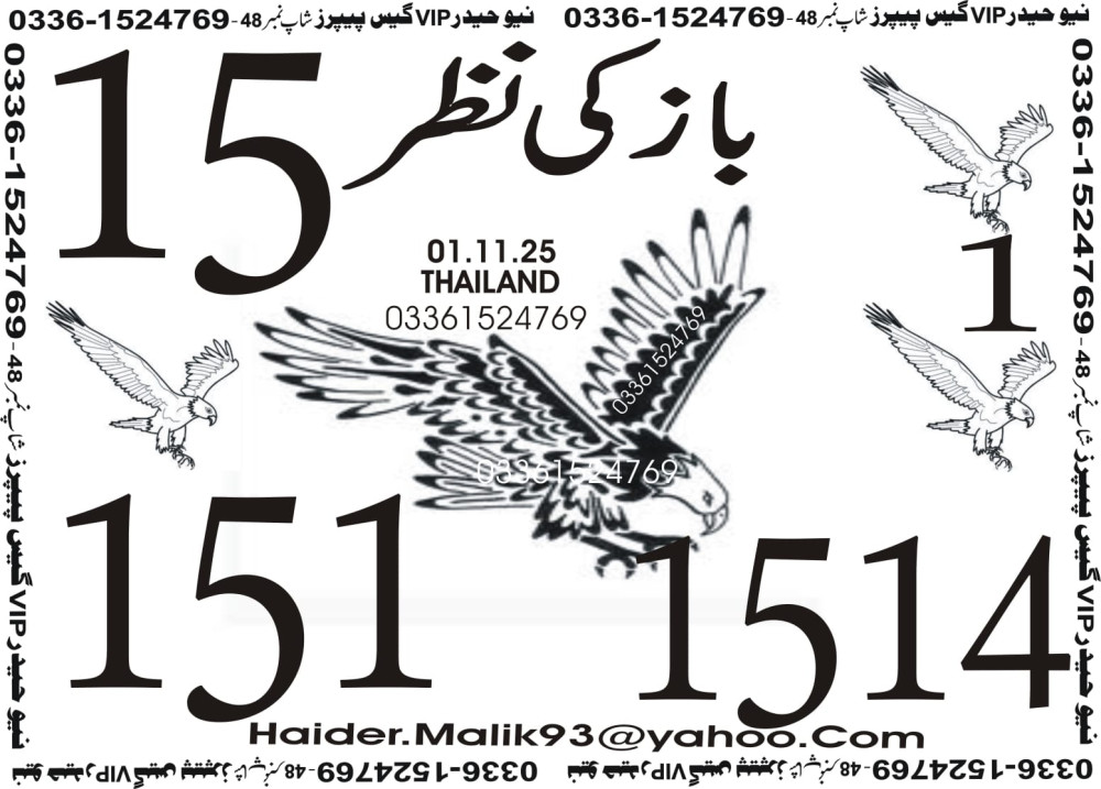 New Haider Vip guess papers