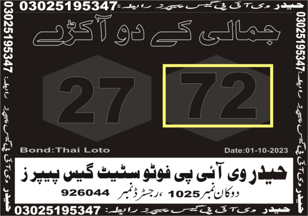 Haider VIP guess papers