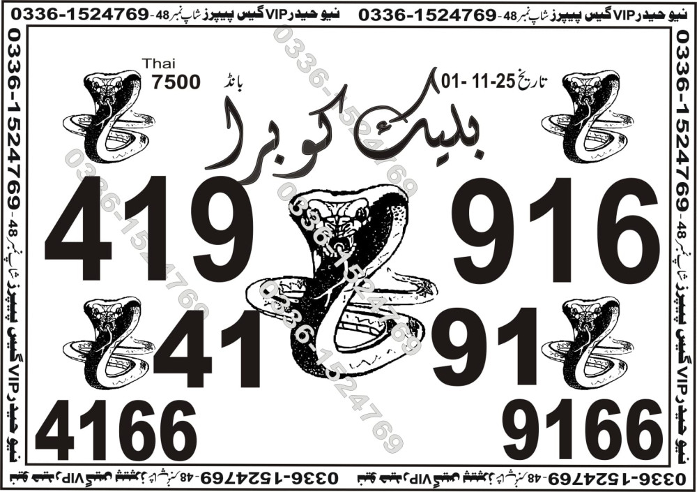 New Haider Vip guess papers