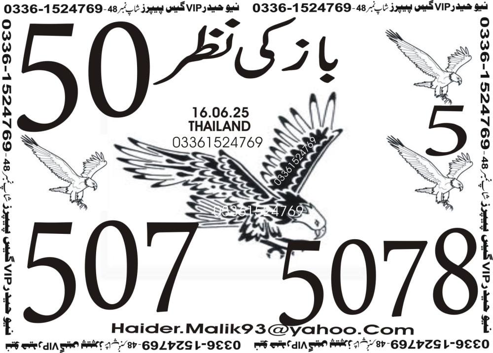 New Haider Vip guess papers