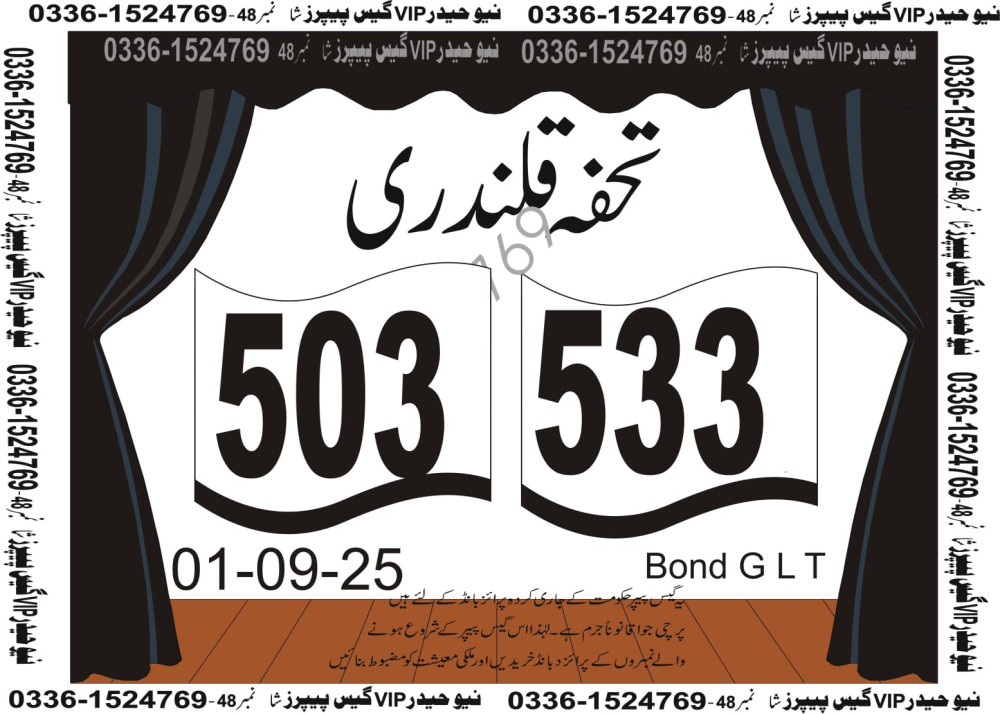 New Haider Vip guess papers