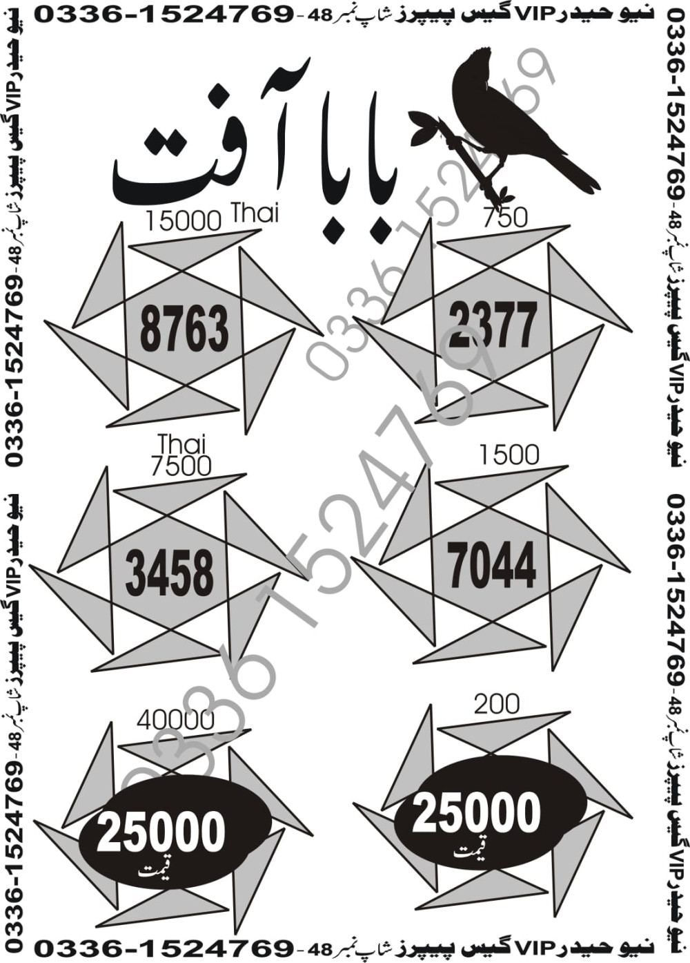 New Haider Vip guess papers