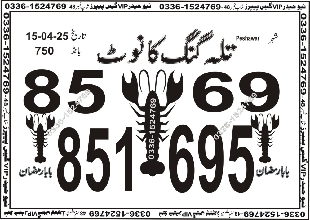New Haider Vip guess papers