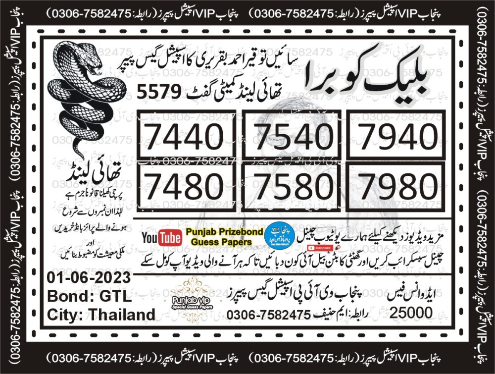 Punjab VIP Special Guess Papers