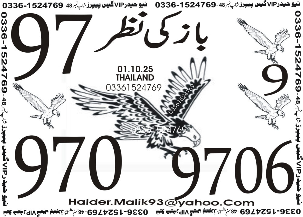 New Haider Vip guess papers