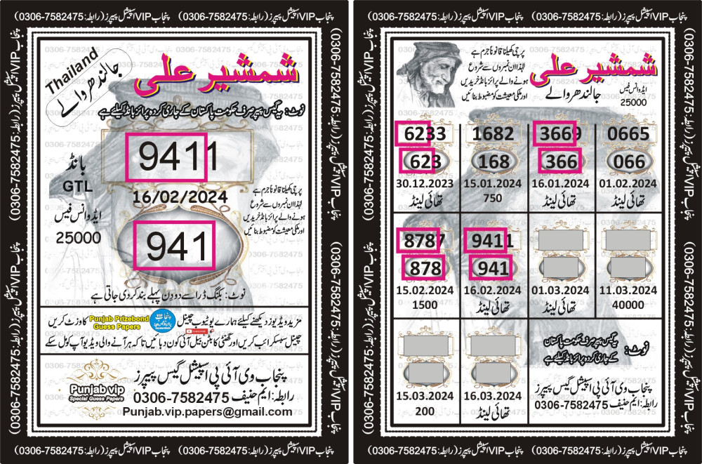 Punjab VIP Special Guess Papers