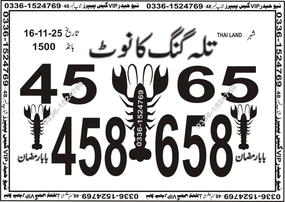 New Haider Vip guess papers