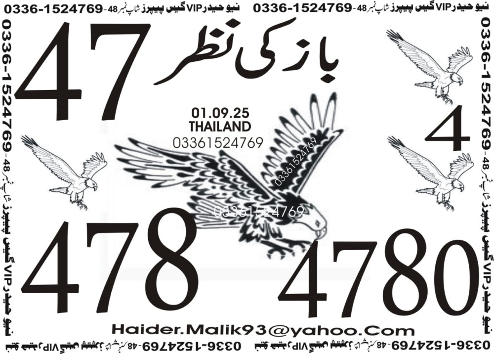 New Haider Vip guess papers