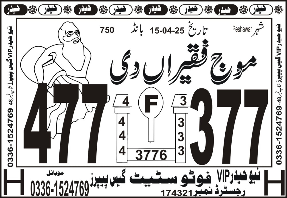 New Haider Vip guess papers