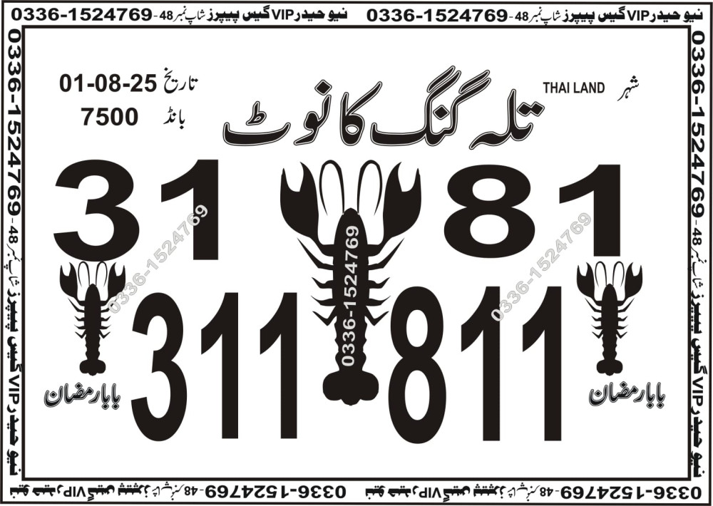 New Haider Vip guess papers