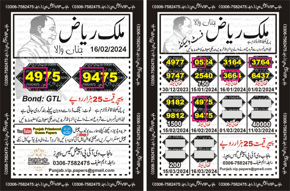 Punjab VIP Special Guess Papers