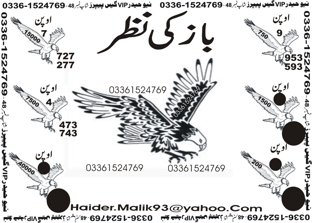 New Haider Vip guess papers