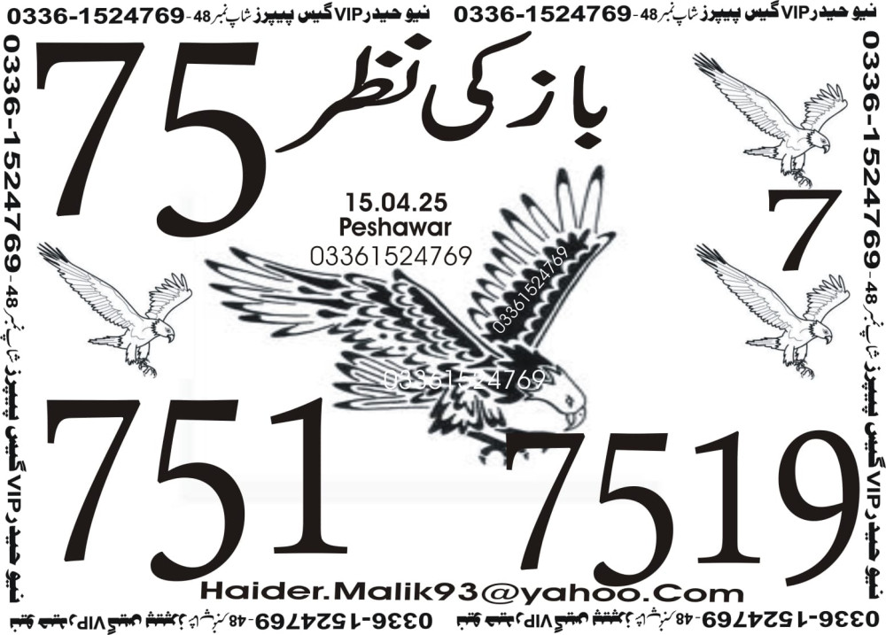 New Haider Vip guess papers