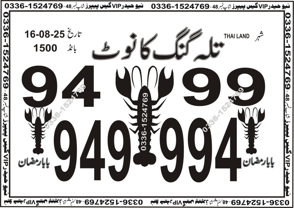 New Haider Vip guess papers