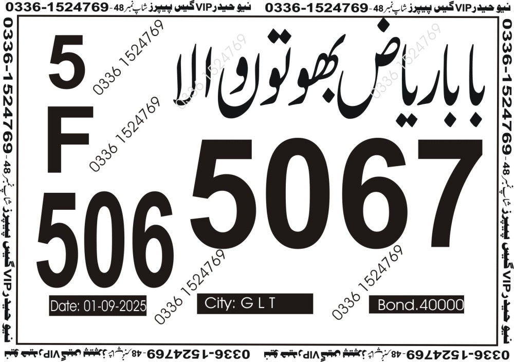 New Haider Vip guess papers