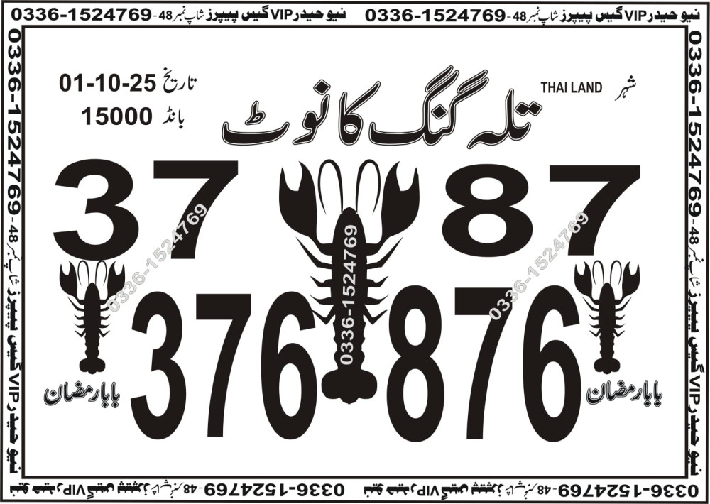 New Haider Vip guess papers