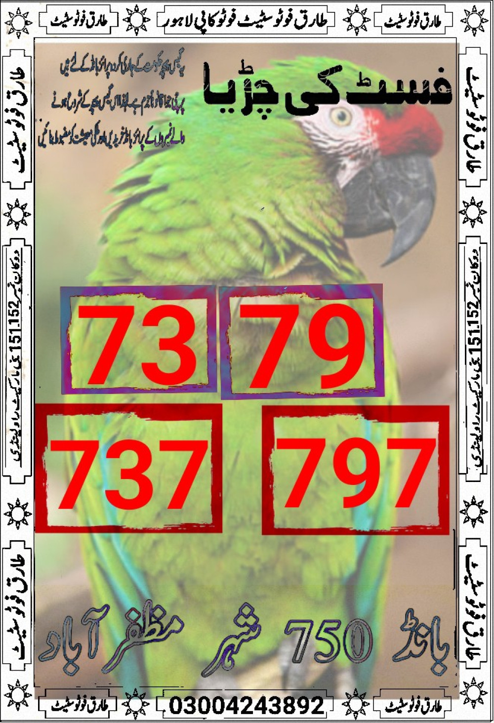 tariq photo state guess Papers