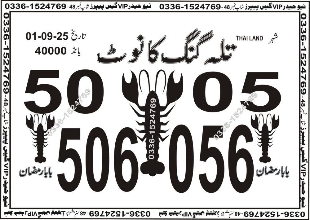 New Haider Vip guess papers