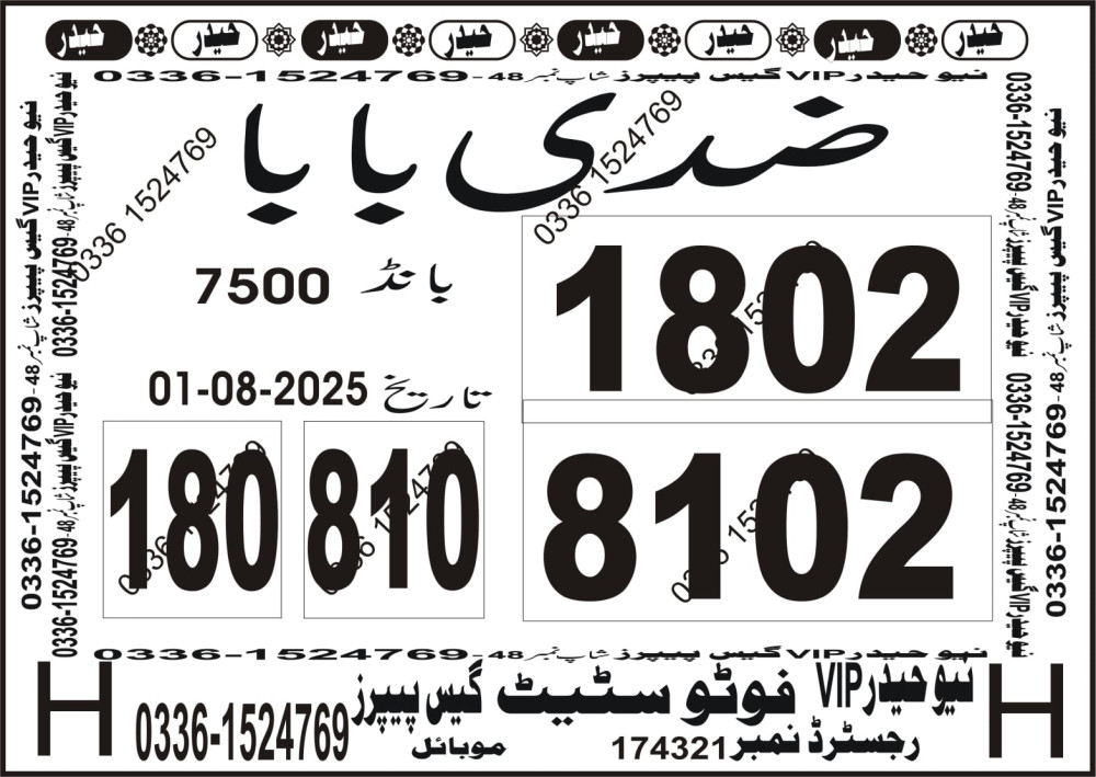 New Haider Vip guess papers