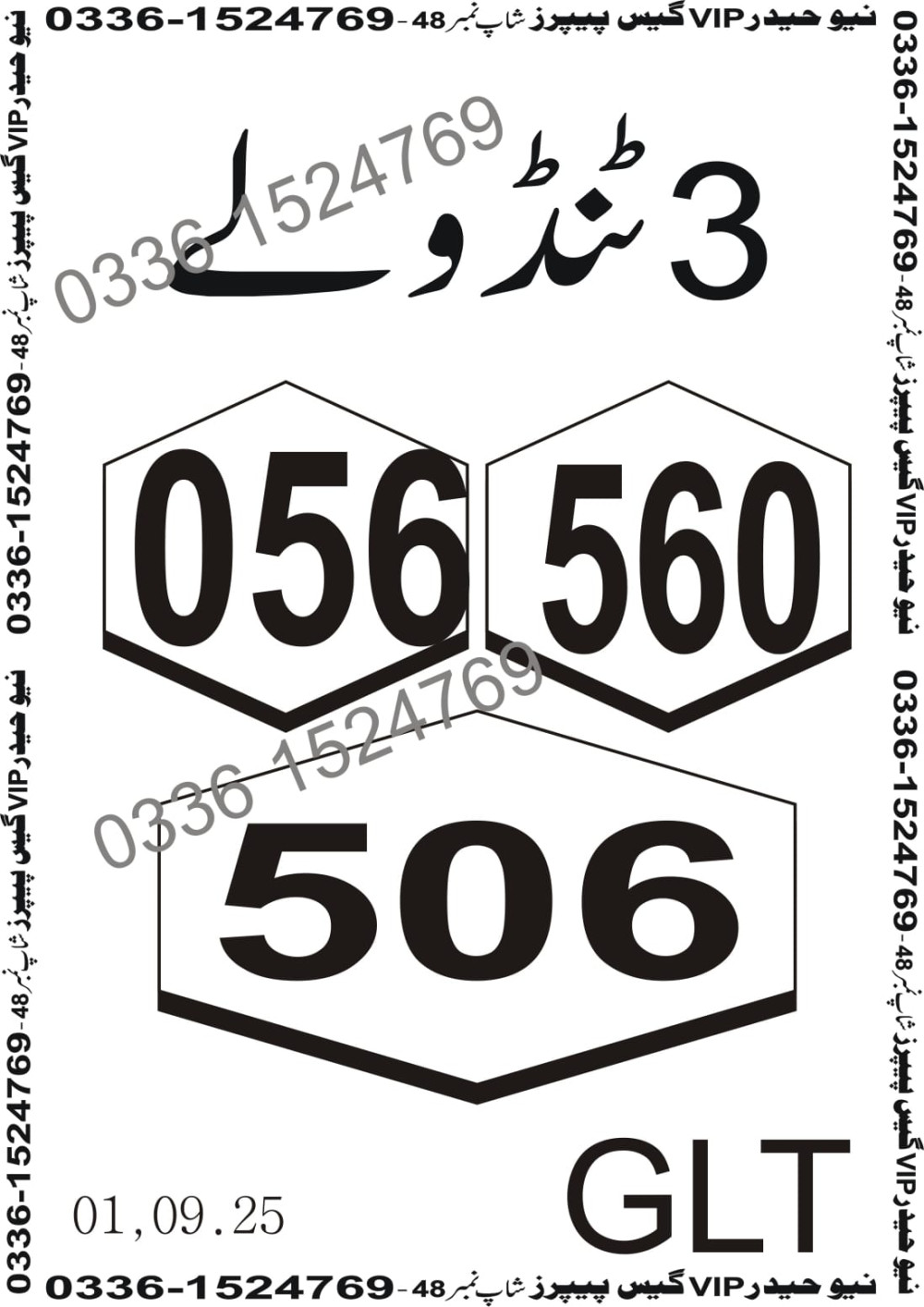 New Haider Vip guess papers