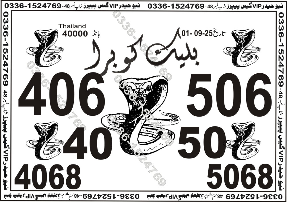 New Haider Vip guess papers