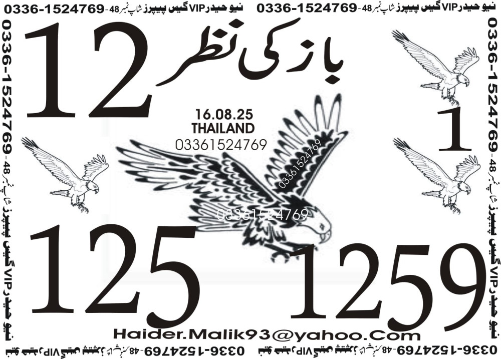 New Haider Vip guess papers