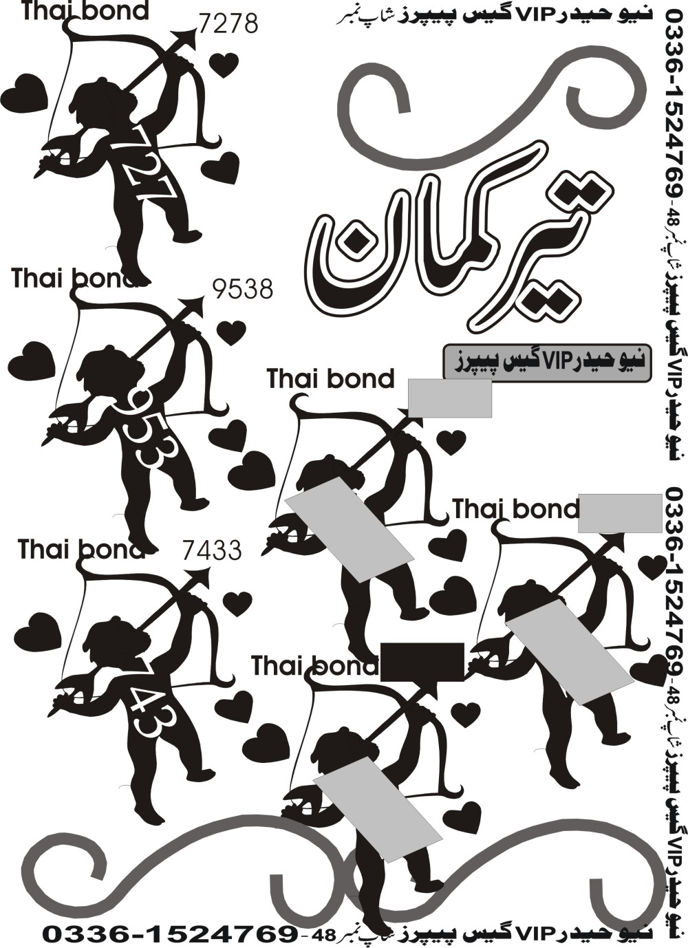 New Haider Vip guess papers