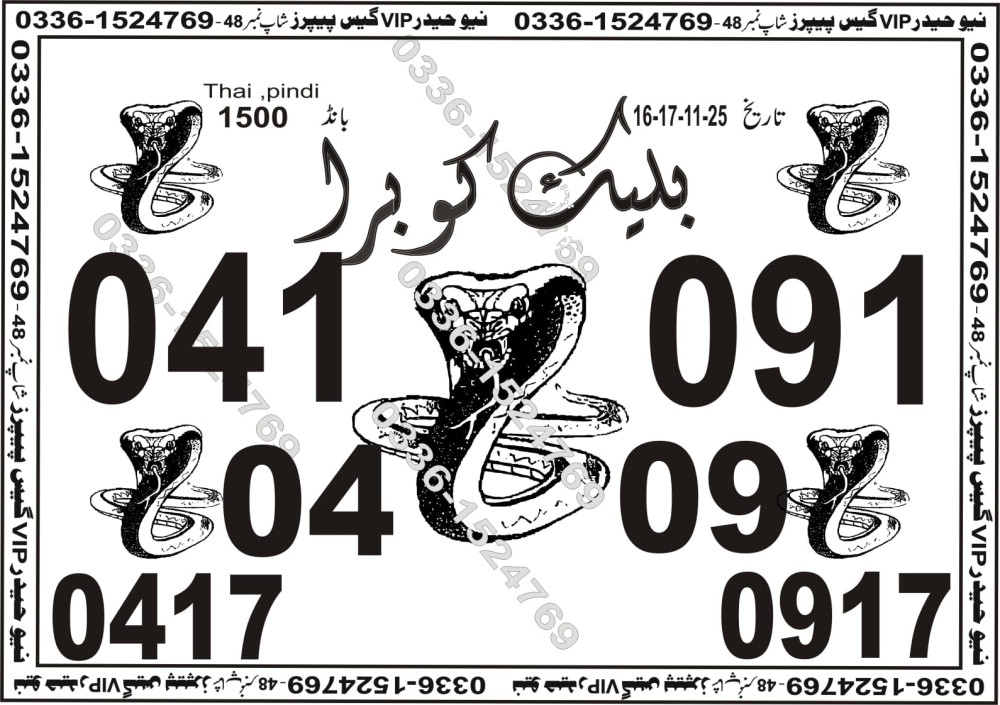 nayaab photo State guess papers