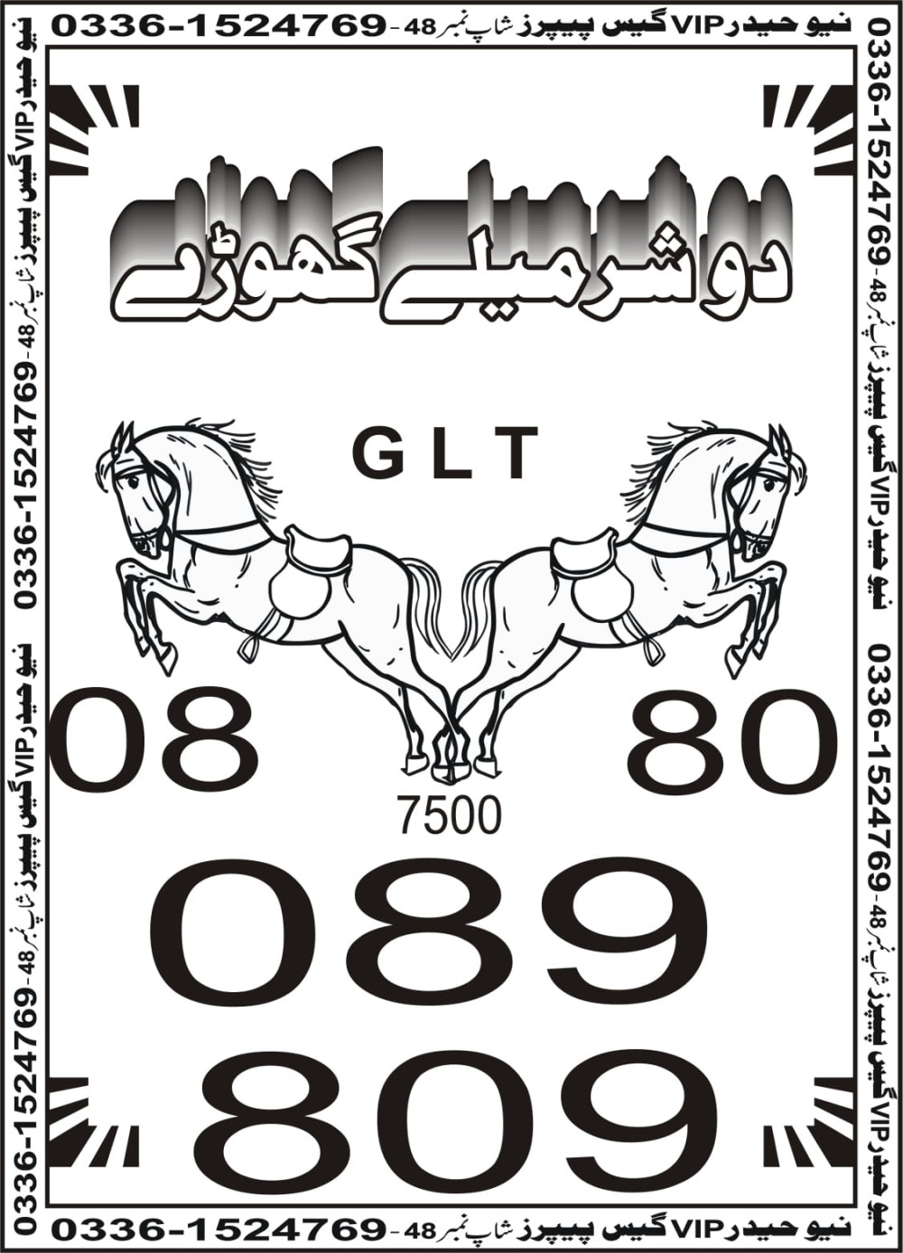 New Haider Vip guess papers