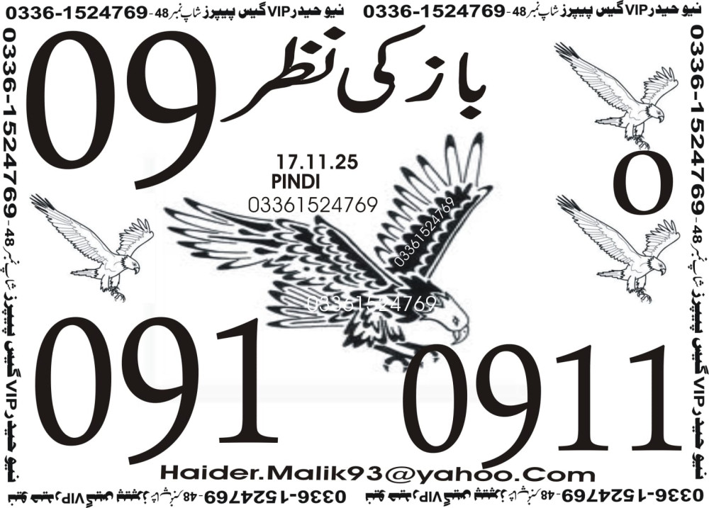 New Haider Vip guess papers