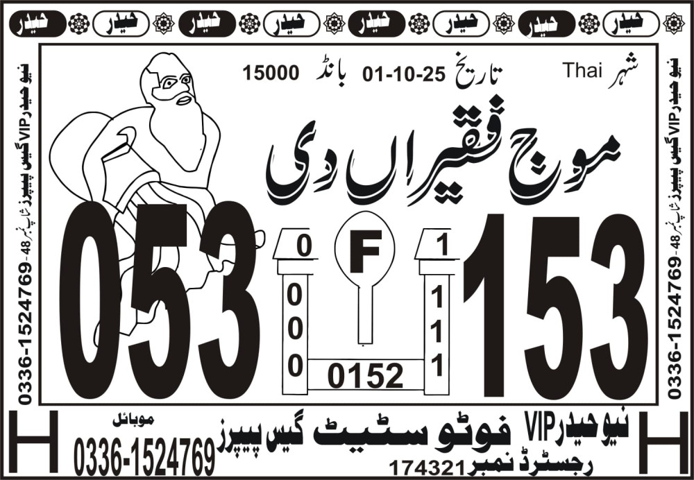New Haider Vip guess papers
