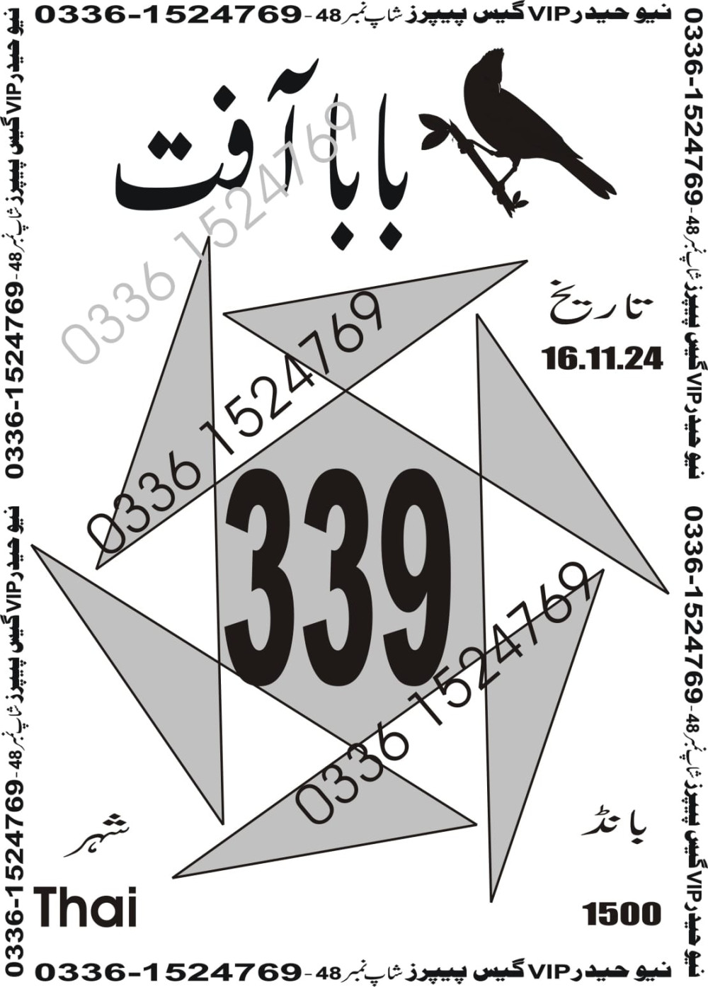 New Haider Vip guess papers