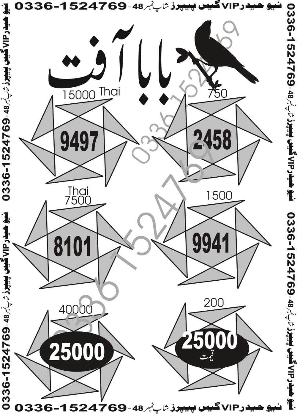 New Haider Vip guess papers