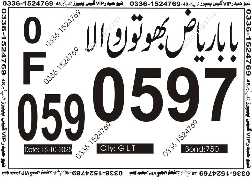 New Haider Vip guess papers