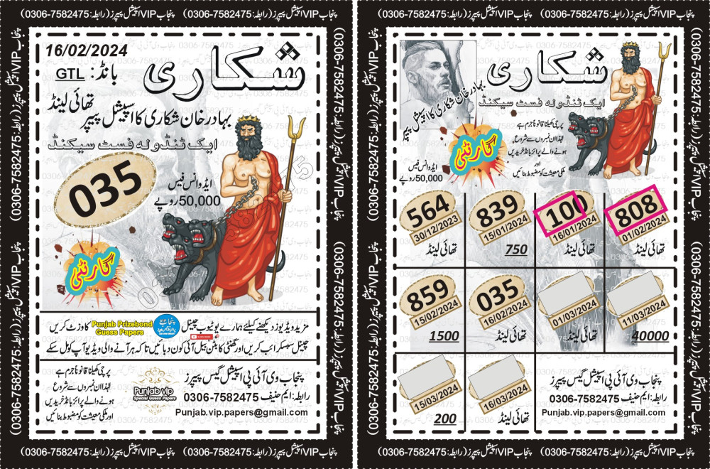 Punjab VIP Special Guess Papers