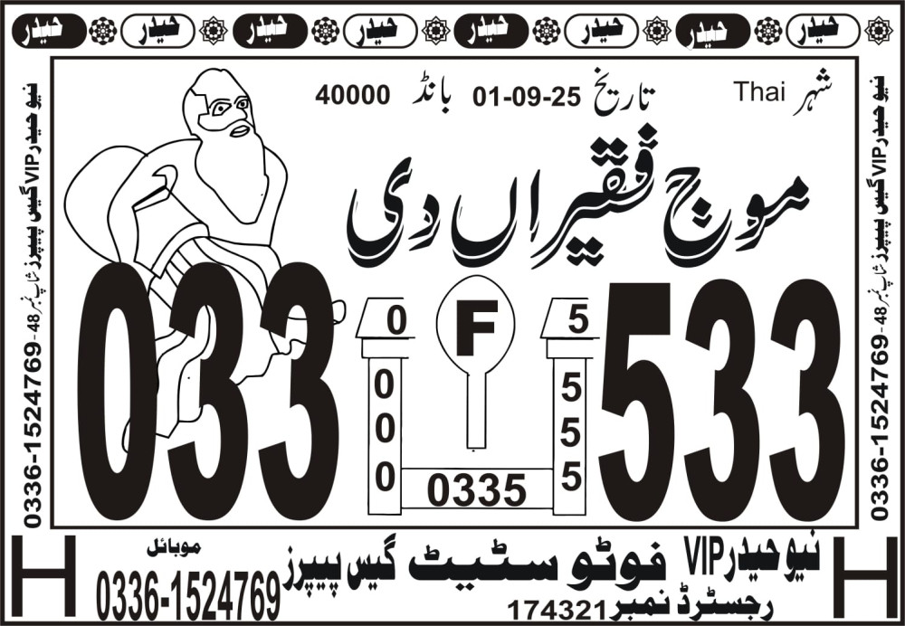 New Haider Vip guess papers