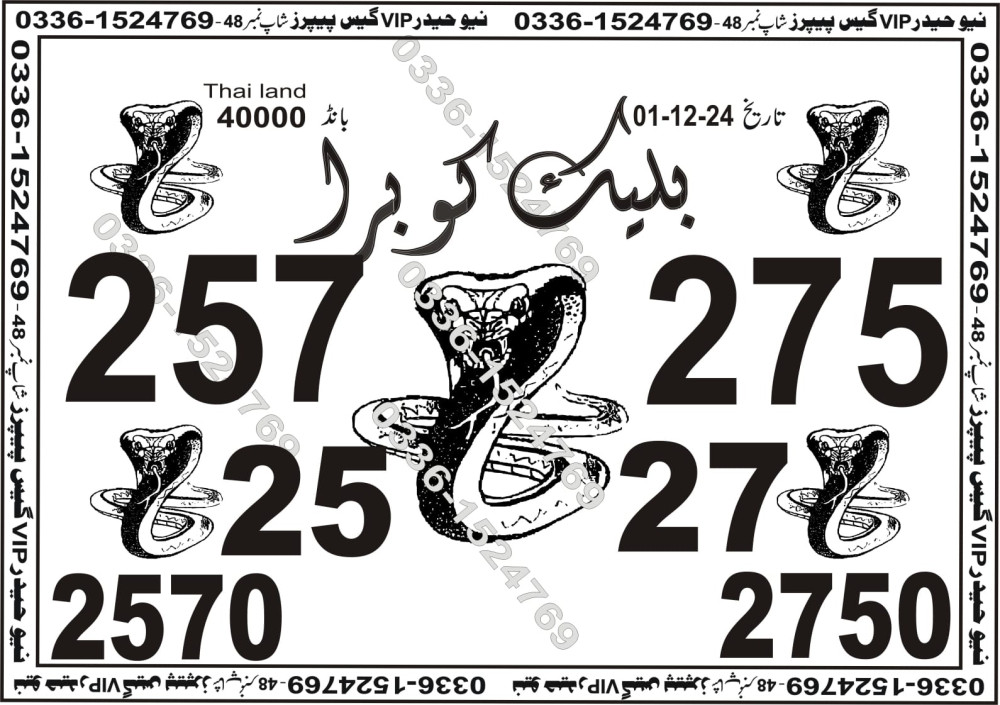 New Haider Vip guess papers