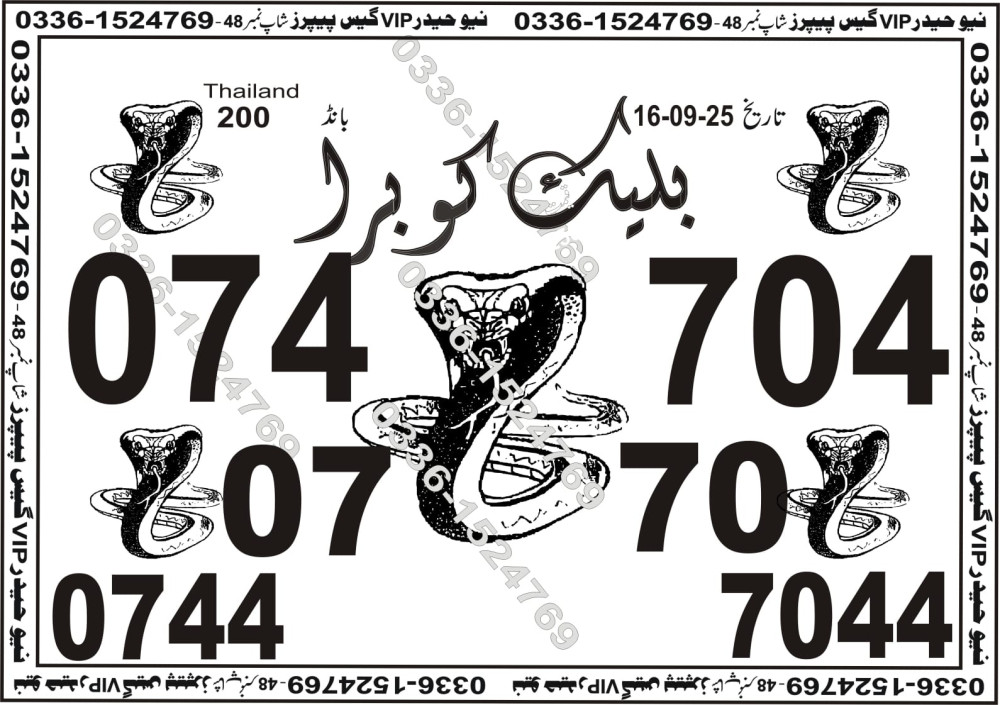 New Haider Vip guess papers