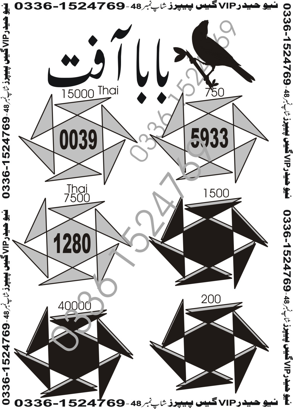 New Haider Vip guess papers