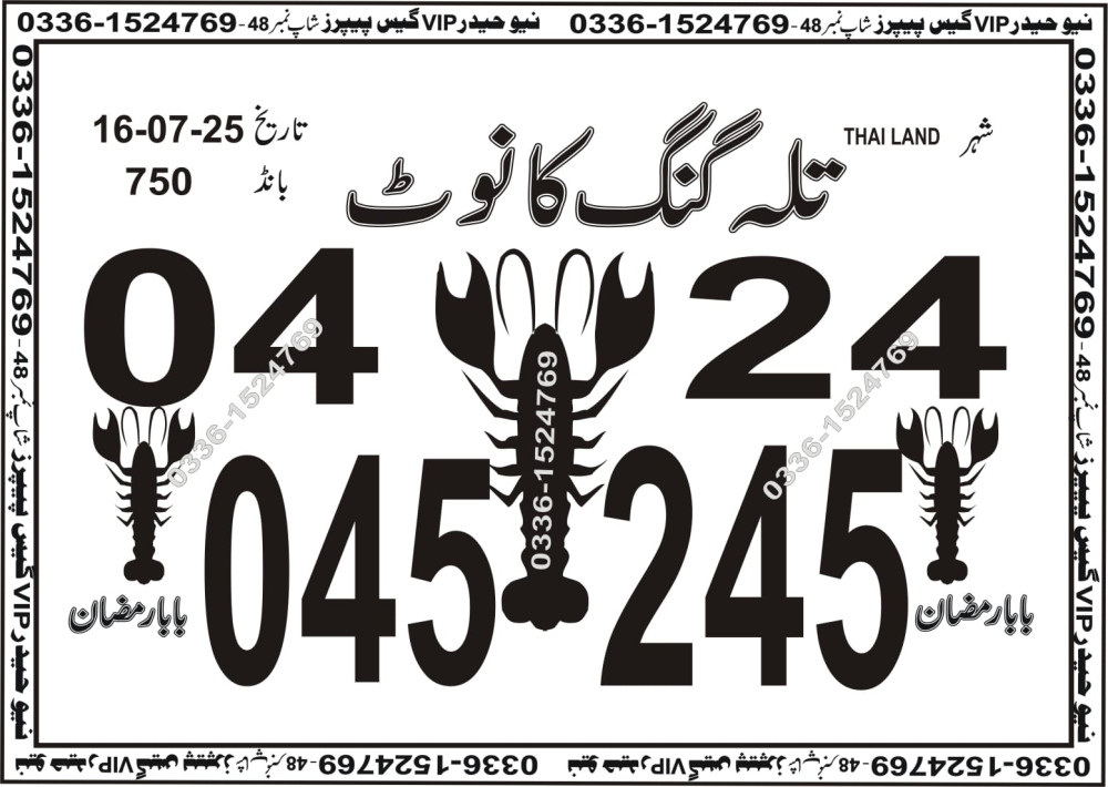 New Haider Vip guess papers