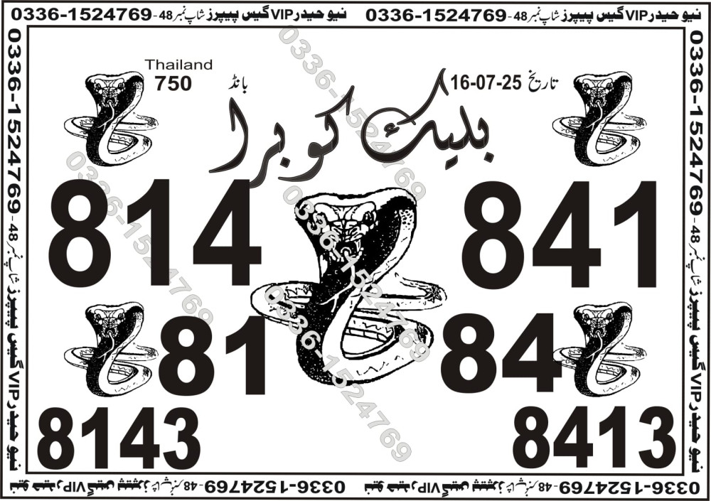 New Haider Vip guess papers