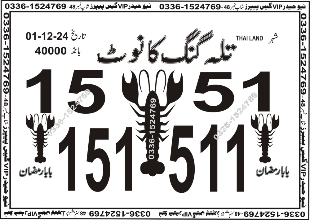 New Haider Vip guess papers