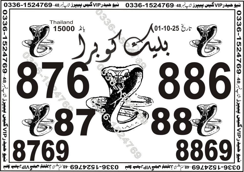 New Haider Vip guess papers